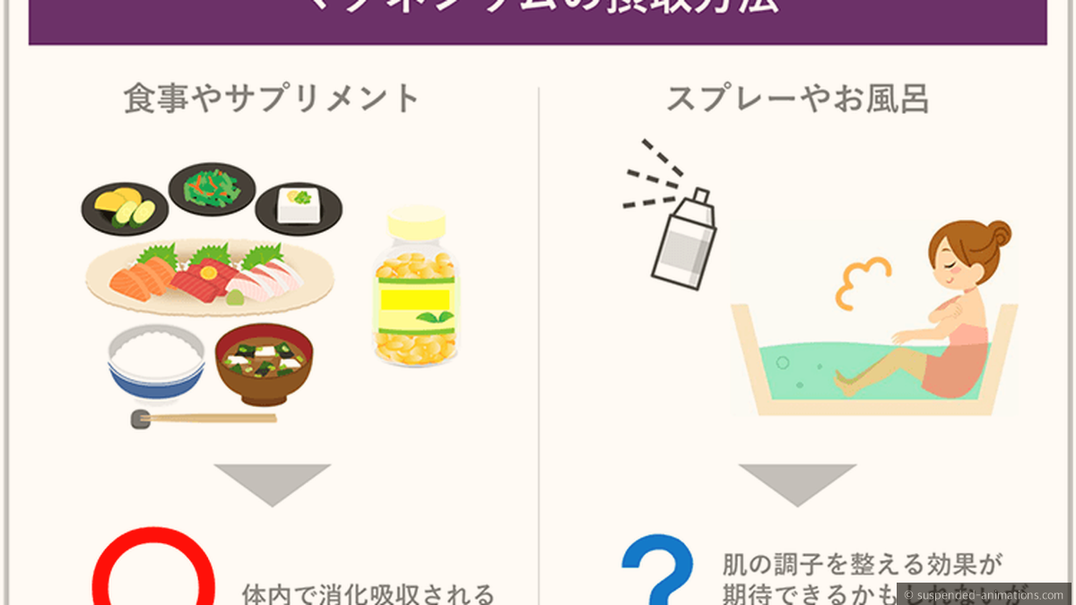 マグネシウムに期待される主な効果と日常生活で役立つ健康メリット